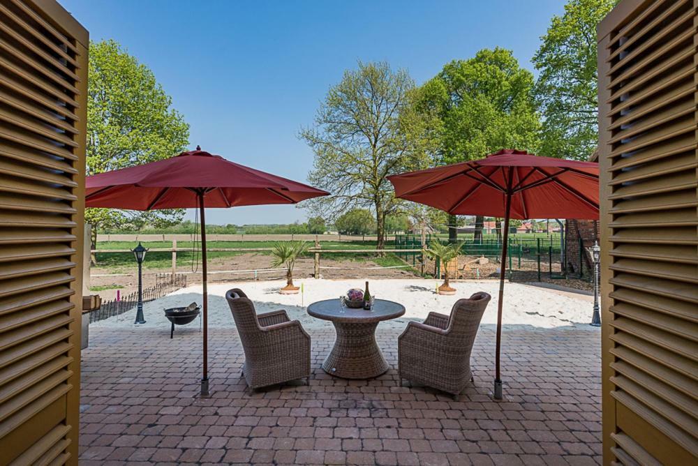 Ferienwohnungen Und Zimmer Hof Holtmann Munster  Zewnętrze zdjęcie